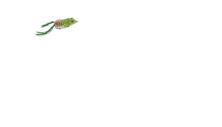 frog1
